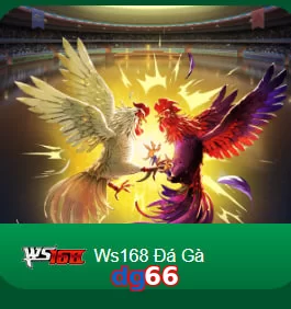 dg66